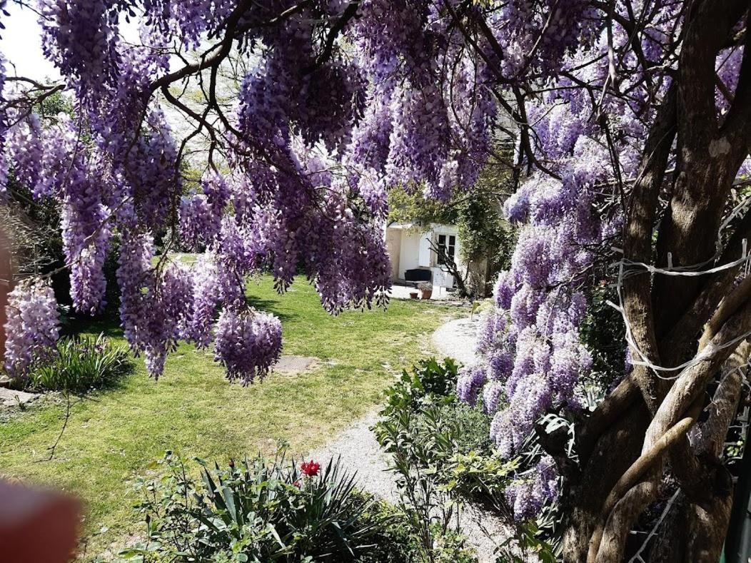 Domaine Les Feuillants Hotel Crouzilles Buitenkant foto